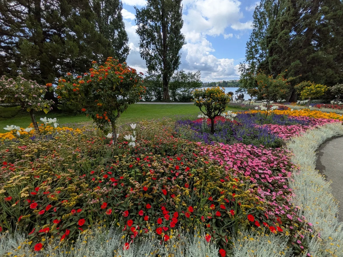 Farbenreiche Blumenbeete und Bäume in den Parkanlagen der Insel Mainau