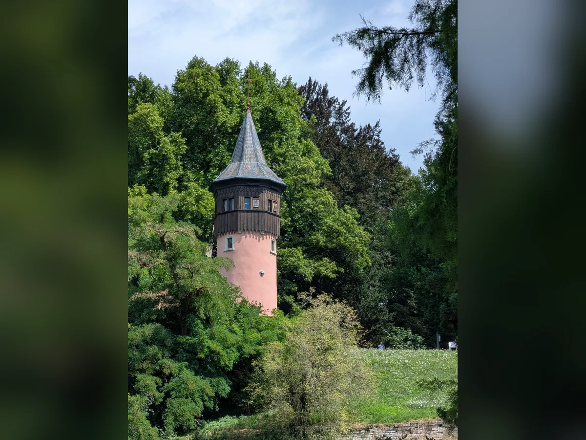 Rosafarbener Rundturm, umgeben von dichtem Grün auf der Insel Mainau
