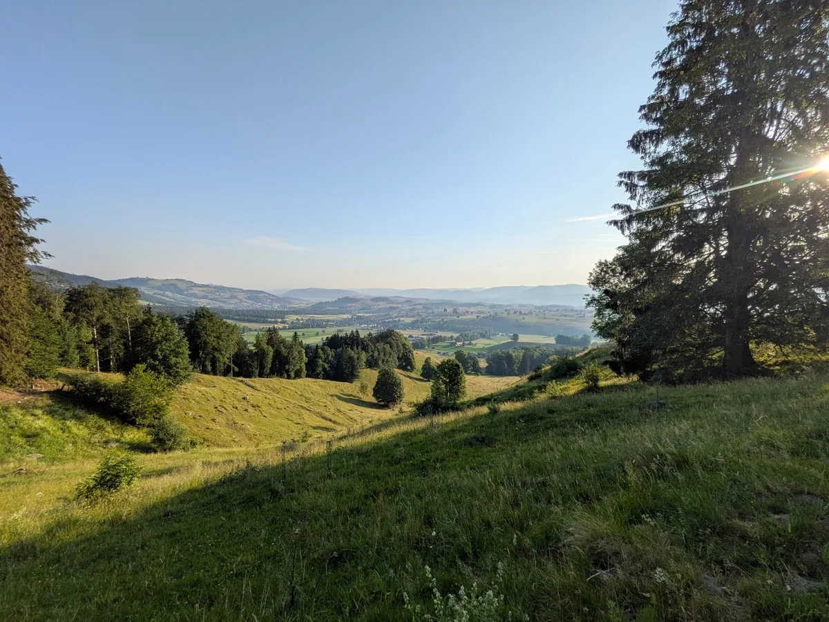 Grüner Wanderweg über eine Weide mit weitem Blick in die Landschaft