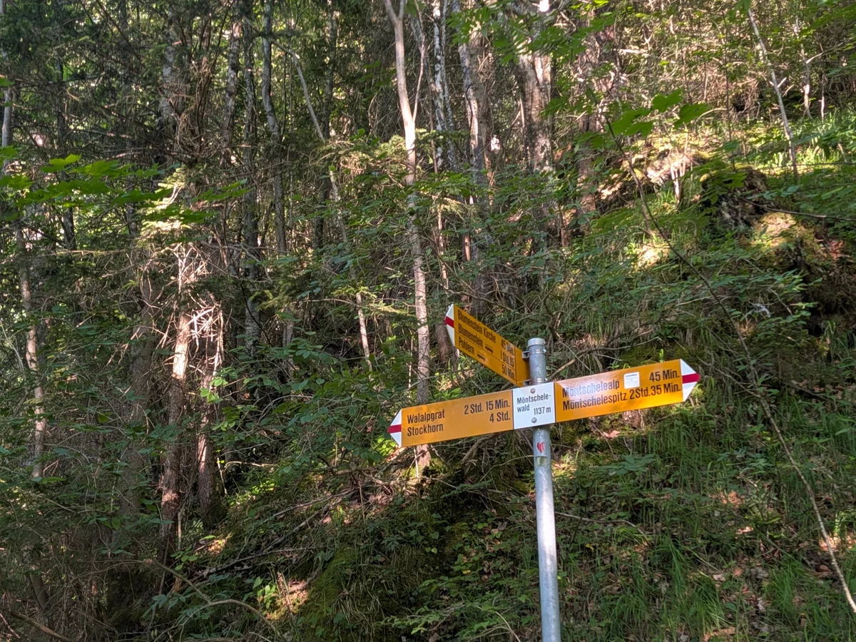 Gelber Schweizer Wanderwegweiser an einem Waldweg