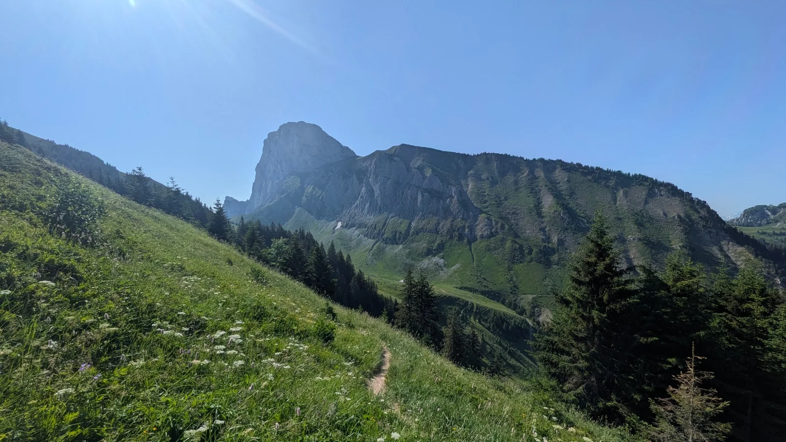 Schmaler Bergweg durch eine grüne Alpweide mit dem felsigen Stockhorn unter blauem Himmel